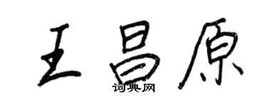 王正良王昌原行書個性簽名怎么寫