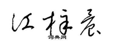 梁錦英江梓晨草書個性簽名怎么寫