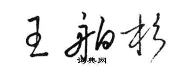 駱恆光王舶杉草書個性簽名怎么寫