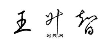 梁錦英王升智草書個性簽名怎么寫