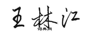 駱恆光王林江行書個性簽名怎么寫