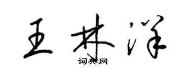 梁錦英王林洋草書個性簽名怎么寫