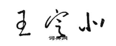 駱恆光王定北草書個性簽名怎么寫