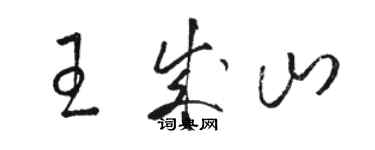 駱恆光王成山草書個性簽名怎么寫