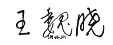 駱恆光王魏曉草書個性簽名怎么寫