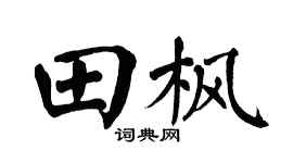 翁闓運田楓楷書個性簽名怎么寫