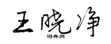 曾慶福王曉淨行書個性簽名怎么寫