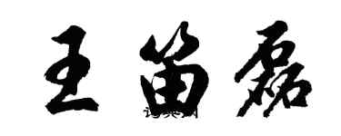 胡問遂王笛磊行書個性簽名怎么寫