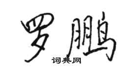 駱恆光羅鵬行書個性簽名怎么寫