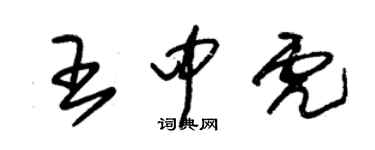 朱錫榮王中虎草書個性簽名怎么寫