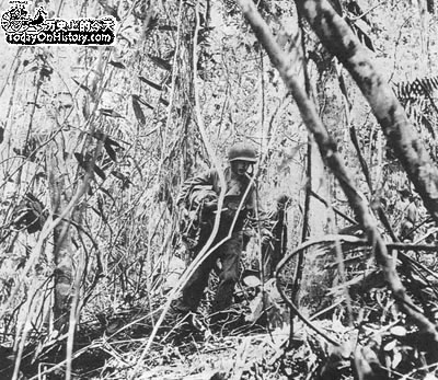 1943年1月15日日軍撤出瓜達爾卡那爾群島_歷史上的今天