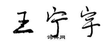 曾慶福王寧宇行書個性簽名怎么寫