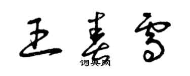 曾慶福王春雪草書個性簽名怎么寫