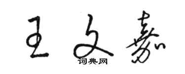 駱恆光王文嘉草書個性簽名怎么寫