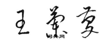 駱恆光王蘭慶草書個性簽名怎么寫