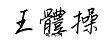 王正良王體操行書個性簽名怎么寫