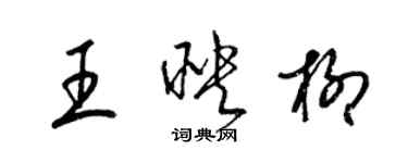 梁錦英王映柳草書個性簽名怎么寫