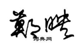 朱錫榮鄭映草書個性簽名怎么寫