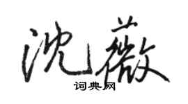 駱恆光沈薇行書個性簽名怎么寫