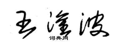 朱錫榮王淦波草書個性簽名怎么寫