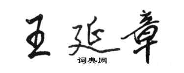 駱恆光王延章行書個性簽名怎么寫