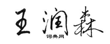 駱恆光王潤森行書個性簽名怎么寫