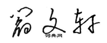 駱恆光閻文軒草書個性簽名怎么寫