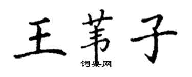 丁謙王葦子楷書個性簽名怎么寫