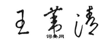 駱恆光王葦清草書個性簽名怎么寫