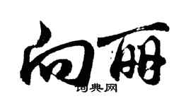 胡問遂向麗行書個性簽名怎么寫