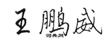 駱恆光王鵬威行書個性簽名怎么寫