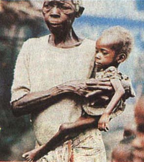 011220.jpg(29821bytes)