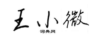 王正良王小微行書個性簽名怎么寫