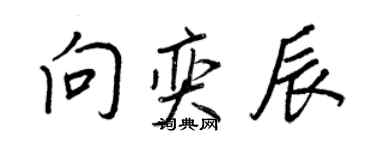王正良向奕辰行書個性簽名怎么寫