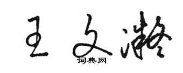 駱恆光王文凝草書個性簽名怎么寫