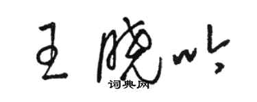 駱恆光王曉吟草書個性簽名怎么寫
