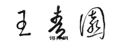 駱恆光王青園草書個性簽名怎么寫