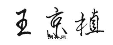 駱恆光王京植行書個性簽名怎么寫