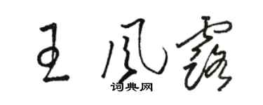 駱恆光王風露草書個性簽名怎么寫