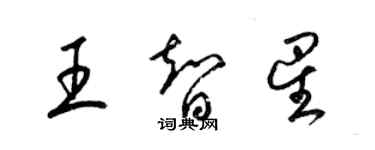 梁錦英王智星草書個性簽名怎么寫