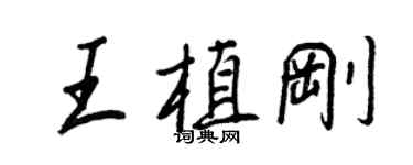 王正良王植剛行書個性簽名怎么寫
