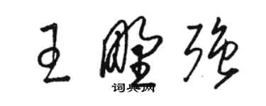 駱恆光王野強草書個性簽名怎么寫