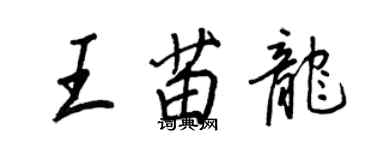 王正良王苗龍行書個性簽名怎么寫