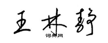 梁錦英王林靜草書個性簽名怎么寫