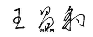 駱恆光王昌豹草書個性簽名怎么寫