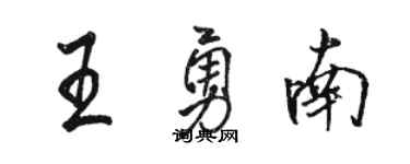 駱恆光王勇南行書個性簽名怎么寫