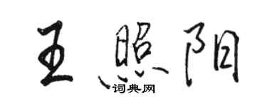 駱恆光王照陽行書個性簽名怎么寫