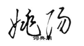 駱恆光姚陽草書個性簽名怎么寫