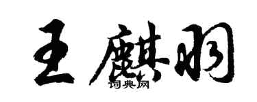 胡問遂王麒羽行書個性簽名怎么寫