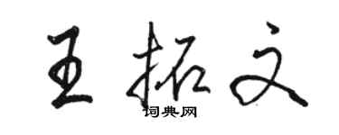 駱恆光王拓文行書個性簽名怎么寫